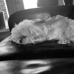 Meet your Posher, Gina